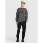 Mens sweatshirt without zipper, without hood, 4F 4FRMM00TSWSM2479-23M - Image 2
