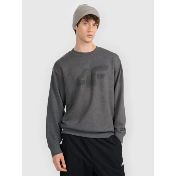 Mens sweatshirt without zipper, without hood, 4F 4FRMM00TSWSM2479-23M