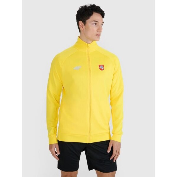 Mens training sweatshirt without hood 4F 4FSAW24TFSWM0811-71S