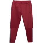 Mens trousers 4F FNK M0936 dark red 4FWAW25TFTRM0936 61S - Image 2