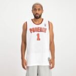 Mitchell Ness Phoenix NBA Alternate Jersey Suns 2002 Anfernee Hardaway M SMJY4443-PSU02AHAWHIT - Image 2