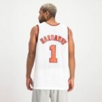 Mitchell Ness Phoenix NBA Alternate Jersey Suns 2002 Anfernee Hardaway M SMJY4443-PSU02AHAWHIT - Image 3