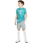 Nike NK Df Academy Shrt Wp Gx Jr CV1469 019 Shorts - Image 6