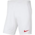 Nike Y Park III Jr BV6865 103 Shorts - Image 3