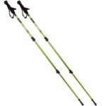 NORDIC WALKING TRAVEL POLES IN ENERO CASE - Image 2