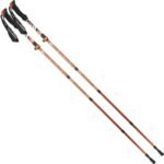 NORDIC WALKING TRIP POLES IN ENERO PRO CASE - Image 2