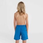ONeill Vert 14" Swim Shorts Jr 92800614215 - Image 8