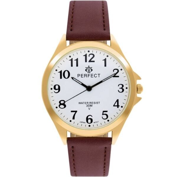 PERFECT GXB412-12 Mens Watch
