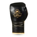 ProFighter Gold - Legacy Series - Multi-Layer Boxing Gloves - Image 5