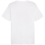 Puma Graphics Summer Sports Tee II M 627909 02 - Image 2
