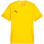 Puma teamGoal Matchday Jersey M 705747 07