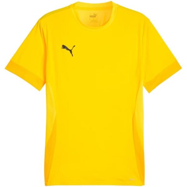Puma teamGoal Matchday Jersey M 705747 07