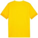Puma teamGoal Matchday Jersey M 705747 07 - Image 2