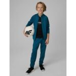 Regular sports sweatshirt without hood for boys 4F 4FJRSS26TFSWM0991-46S - Image 6
