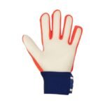 Reusch Attrakt Starter Solid Jr 5572513 2500 Goalkeeper Gloves - Image 3