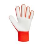 Reusch Attrakt Starter Solid M 5570514 2290 Goalkeeper Gloves - Image 3