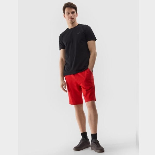 Shorts 4F M 4FWSS24TSHOM284 61S