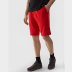 Shorts 4F M 4FWSS24TSHOM284 61S - Image 5