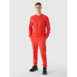 Sweatpants 4F M 4FWMM00TTROM0943-70S - Image 2