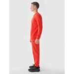 Sweatpants 4F M 4FWMM00TTROM0943-70S - Image 3