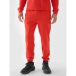 Sweatpants 4F M 4FWMM00TTROM0943-70S - Image 8