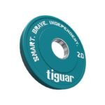 tiguar fractional plate 2kg - Image 2