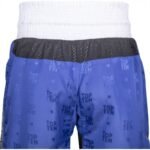 TOP TEN "PRISM" Kickboxing Pants SKBP-TT-P - Image 3