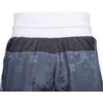 TOP TEN "PRISM" Kickboxing Pants SKBP-TT-P - Image 8