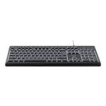 TRUST PRIMO Backlit USB-A Keyboard - Image 2