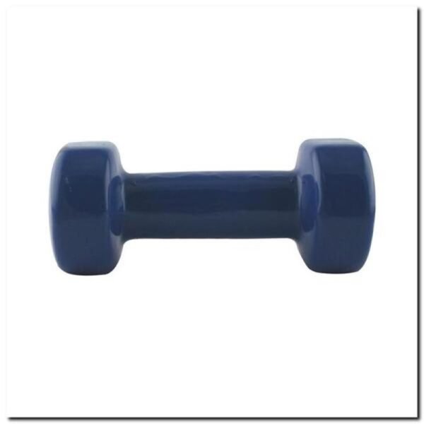 Vinyl weight 3kg HMS 17023 17-47-005