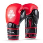 Warrior RED Genuine Leather Boxing Gloves