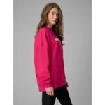 Womens oversize sweatshirt without hood 4F 4FRSS26TSWSF2993-53S - Image 3