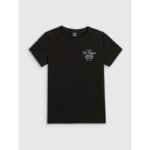 Womens regular printed T-shirt 4F 4FRSS26TTSHF4537-20S