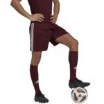 adidas Squadra 21 Short M GN8083 - Image 5