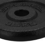 Cast iron weight 0.5kg SINIS N - Image 5