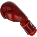 MASTERS BURGUNDY RUBY RBT-BR-LX 10 oz Boxing Gloves - Image 5