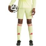 Mens adidas Tiro 24 shorts yellow and red JI6090