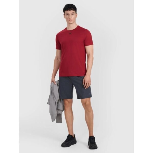 Mens quick-drying training shorts 4F 4FWMM00TFSHM1310-22M