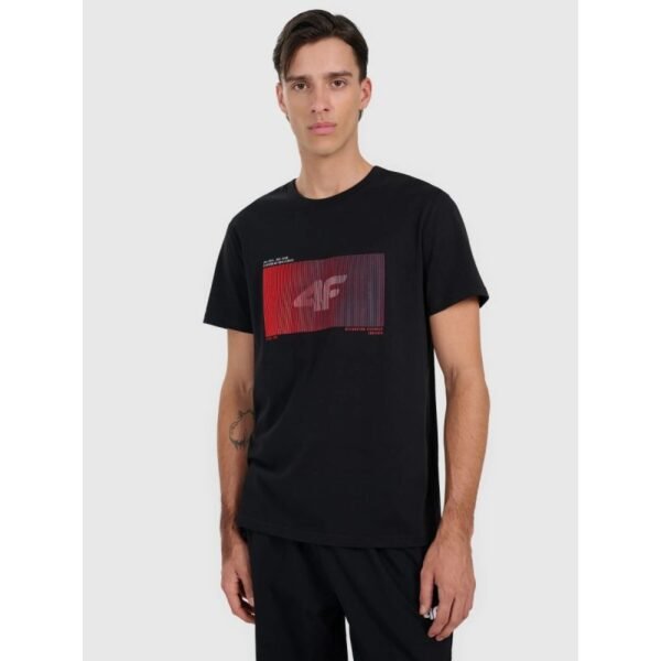 Mens regular printed T-shirt 4F 4FRAW25TTSHM3224-20S