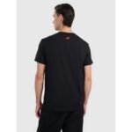 Mens regular printed T-shirt 4F 4FRAW25TTSHM3224-20S - Image 2