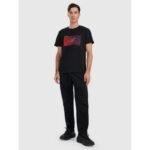 Mens regular printed T-shirt 4F 4FRAW25TTSHM3224-20S - Image 3