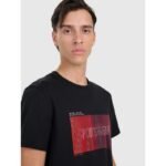 Mens regular printed T-shirt 4F 4FRAW25TTSHM3224-20S - Image 5