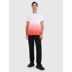 Mens regular printed T-shirt 4F 4FRAW25TTSHM3226-62S - Image 6