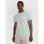 Mens regular printed T-shirt 4F 4FWSS25TTSHM1980-47S