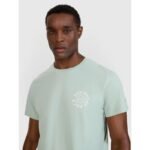 Mens regular printed T-shirt 4F 4FWSS25TTSHM1980-47S - Image 2