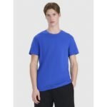 Mens regular printed T-shirt 4F 4FWSS25TTSHM2239-36S