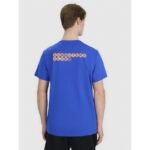 Mens regular printed T-shirt 4F 4FWSS25TTSHM2239-36S - Image 2
