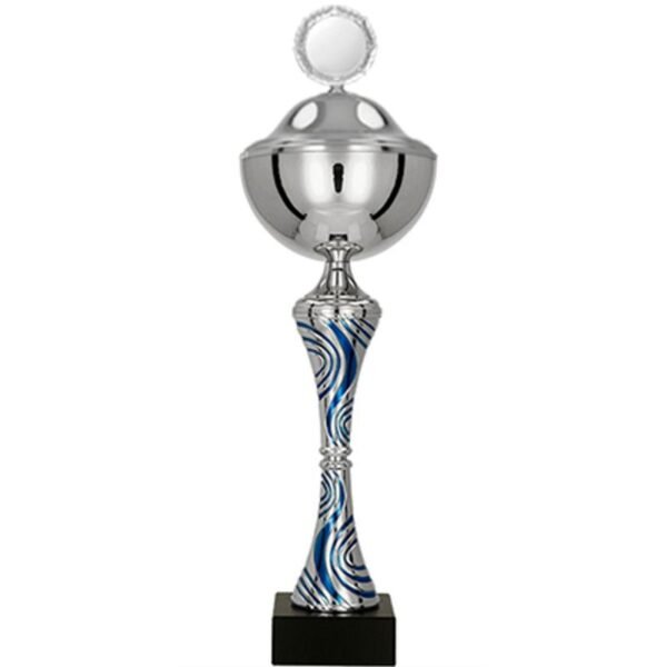 Metal cup with a lid