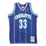 Mitchell Ness NBA Charlotte Hornets Alonzo Mourning Swingman T-shirt - SMJYAC18010-CHOPURP94AMO