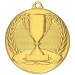 Overall gold medal with cup - Image 2